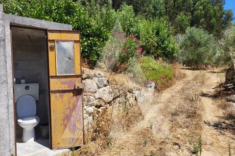 Farm i Penalva do Castelo, Viseu, Penalva do Castelo - € 220.000 | Ref: 1180570/25VS - foto 17