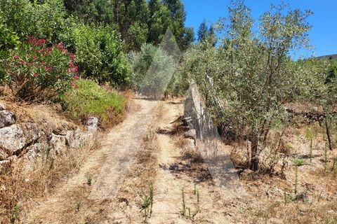 Farm i Penalva do Castelo, Viseu, Penalva do Castelo - € 220.000 | Ref: 1180570/25VS - foto 18
