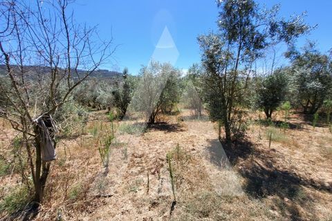Farm i Penalva do Castelo, Viseu, Penalva do Castelo - € 220.000 | Ref: 1180570/25VS - foto 20
