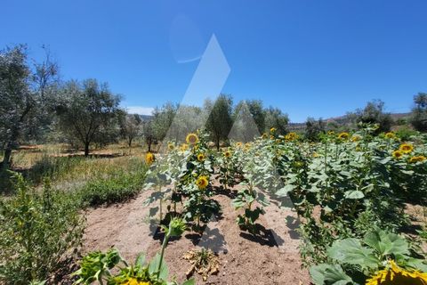 Farm i Penalva do Castelo, Viseu, Penalva do Castelo - € 220.000 | Ref: 1180570/25VS - foto 24