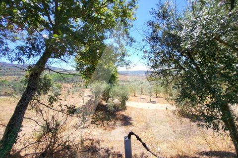 Farm i Penalva do Castelo, Viseu, Penalva do Castelo - € 220.000 | Ref: 1180570/25VS - foto 28