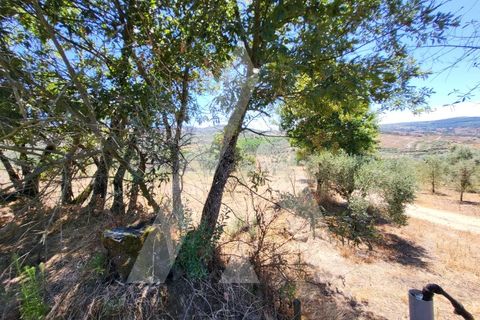 Farm i Penalva do Castelo, Viseu, Penalva do Castelo - € 220.000 | Ref: 1180570/25VS - foto 29