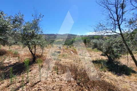 Farm i Penalva do Castelo, Viseu, Penalva do Castelo - € 220.000 | Ref: 1180570/25VS - foto 30