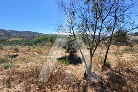 Farm i Penalva do Castelo, Viseu, Penalva do Castelo - € 220.000 | Ref: 1180570/25VS - foto 32