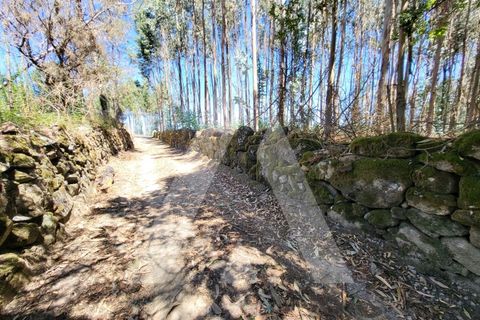 Farm i Penalva do Castelo, Viseu, Penalva do Castelo - € 220.000 | Ref: 1180570/25VS - foto 33