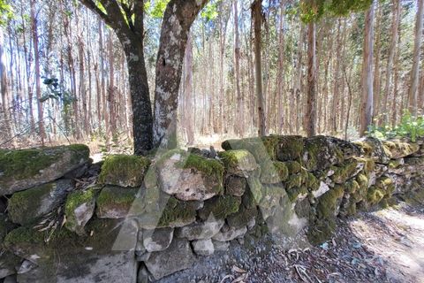 Farm i Penalva do Castelo, Viseu, Penalva do Castelo - € 220.000 | Ref: 1180570/25VS - foto 34