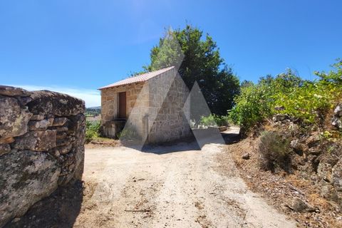 Farm i Penalva do Castelo, Viseu, Penalva do Castelo - € 220.000 | Ref: 1180570/25VS - foto 37