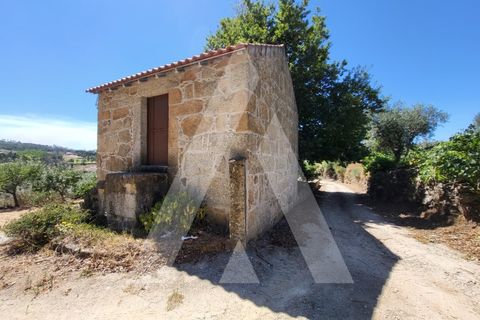 Farm i Penalva do Castelo, Viseu, Penalva do Castelo - € 220.000 | Ref: 1180570/25VS - foto 38