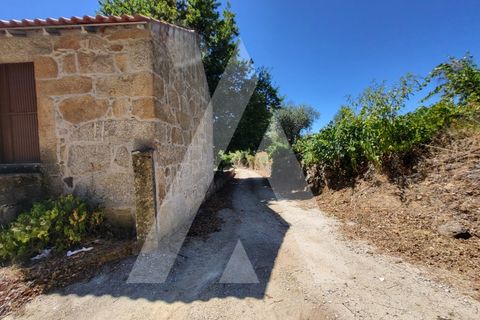 Farm i Penalva do Castelo, Viseu, Penalva do Castelo - € 220.000 | Ref: 1180570/25VS - foto 39