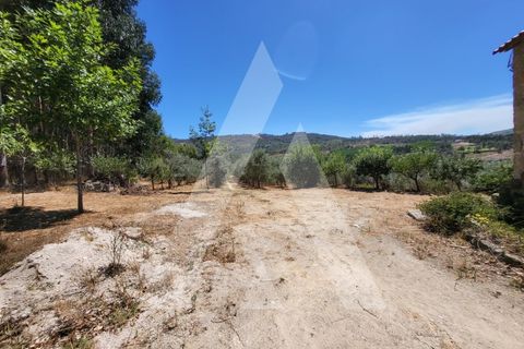 Farm i Penalva do Castelo, Viseu, Penalva do Castelo - € 220.000 | Ref: 1180570/25VS - foto 40