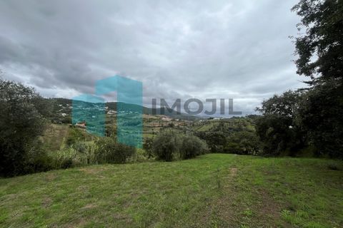 Helårsgrund i Leiria, Leiria, Leiria - € 99.800 | Ref: IMO_99 - foto 1