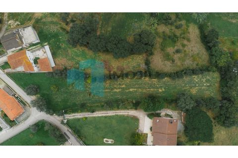 Helårsgrund i Leiria, Leiria, Leiria - € 99.800 | Ref: IMO_99 - foto 13