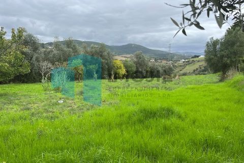 Helårsgrund i Leiria, Leiria, Leiria - € 99.800 | Ref: IMO_99 - foto 2