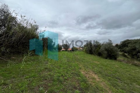 Helårsgrund i Leiria, Leiria, Leiria - € 99.800 | Ref: IMO_99 - foto 5