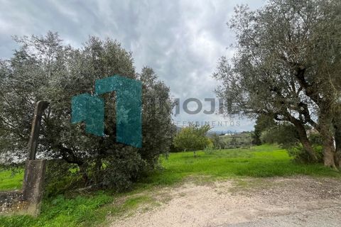Helårsgrund i Leiria, Leiria, Leiria - € 99.800 | Ref: IMO_99 - foto 9