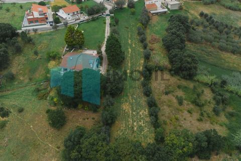 Helårsgrund i Leiria, Leiria, Leiria - € 99.800 | Ref: IMO_99 - foto 12