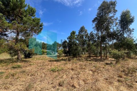 Helårsgrund i Monte Real, Leiria, Monte Real - € 50.000 | Ref: IMO_93 - foto 2