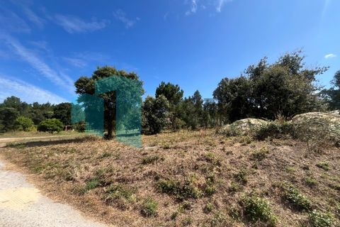 Helårsgrund i Monte Real, Leiria, Monte Real - € 50.000 | Ref: IMO_93 - foto 3