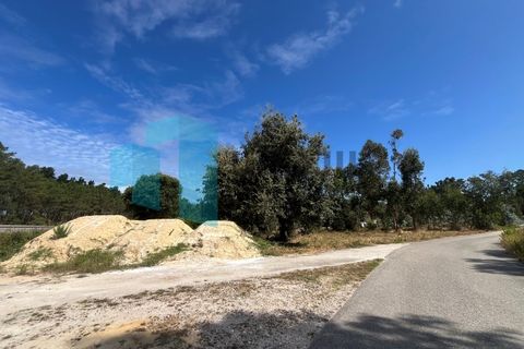 Helårsgrund i Monte Real, Leiria, Monte Real - € 50.000 | Ref: IMO_93 - foto 4