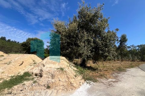 Helårsgrund i Monte Real, Leiria, Monte Real - € 50.000 | Ref: IMO_93 - foto 5