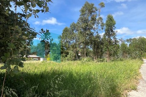 Helårsgrund i Monte Real, Leiria, Monte Real - € 50.000 | Ref: IMO_93 - foto 6