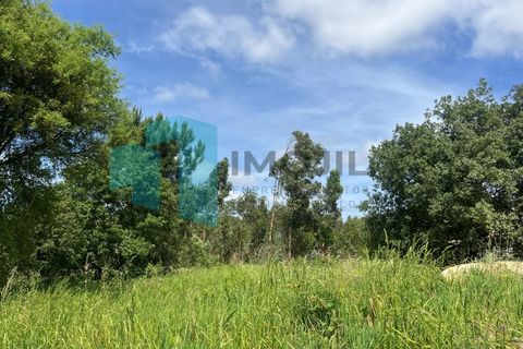 Helårsgrund i Monte Real, Leiria, Monte Real - € 50.000 | Ref: IMO_93 - foto 7