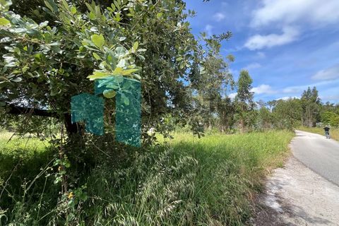 Helårsgrund i Monte Real, Leiria, Monte Real - € 50.000 | Ref: IMO_93 - foto 8