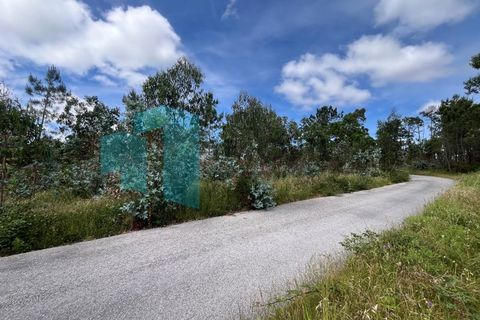 Helårsgrund i Monte Real, Leiria, Monte Real - € 50.000 | Ref: IMO_93 - foto 11