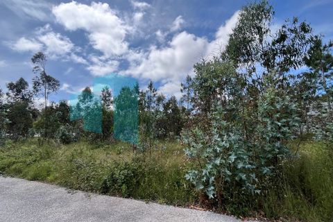 Helårsgrund i Monte Real, Leiria, Monte Real - € 50.000 | Ref: IMO_93 - foto 12