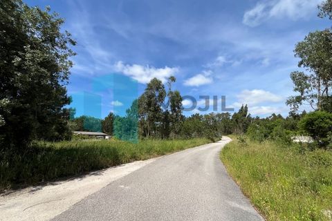 Helårsgrund i Monte Real, Leiria, Monte Real - € 50.000 | Ref: IMO_93 - foto 16