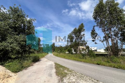 Helårsgrund i Monte Real, Leiria, Monte Real - € 50.000 | Ref: IMO_93 - foto 17