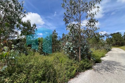 Helårsgrund i Monte Real, Leiria, Monte Real - € 50.000 | Ref: IMO_93 - foto 18