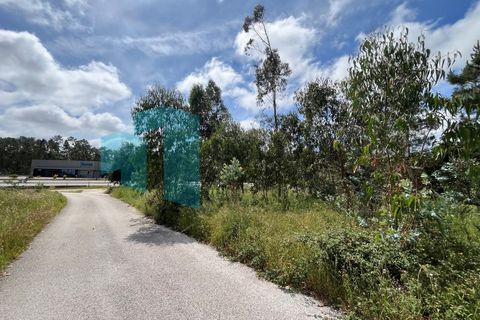 Helårsgrund i Monte Real, Leiria, Monte Real - € 50.000 | Ref: IMO_93 - foto 19