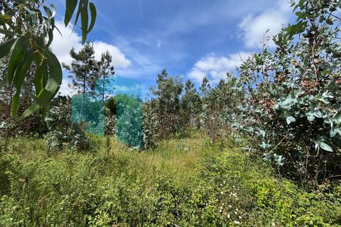 Helårsgrund i Monte Real, Leiria, Monte Real - € 50.000 | Ref: IMO_93 - foto 20