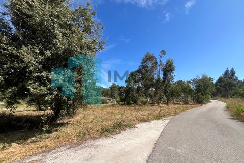 Helårsgrund i Monte Real, Leiria, Monte Real - € 50.000 | Ref: IMO_93 - foto 21
