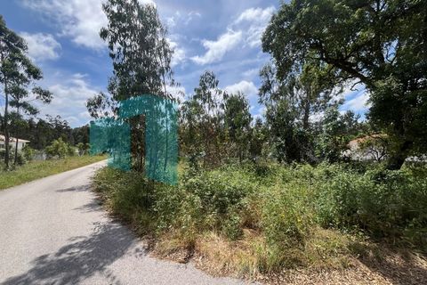 Tomt i Monte Real, Leiria, Monte Real - € 50 000 | Ref: IMO_95 - foto 2