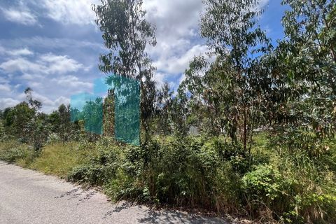 Tomt i Monte Real, Leiria, Monte Real - € 50 000 | Ref: IMO_95 - foto 3