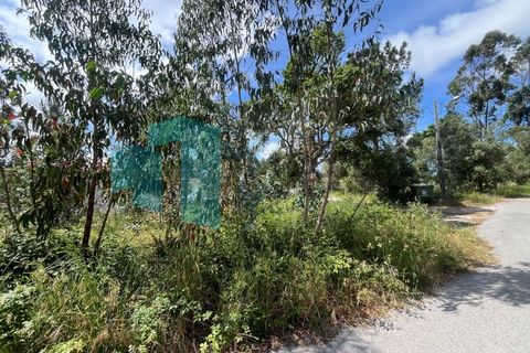 Tomt i Monte Real, Leiria, Monte Real - € 50 000 | Ref: IMO_95 - foto 4