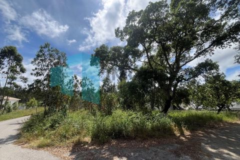 Tomt i Monte Real, Leiria, Monte Real - € 50 000 | Ref: IMO_95 - foto 5