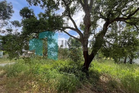 Tomt i Monte Real, Leiria, Monte Real - € 50 000 | Ref: IMO_95 - foto 7
