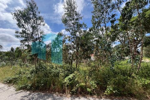 Tomt i Monte Real, Leiria, Monte Real - € 50 000 | Ref: IMO_95 - foto 8