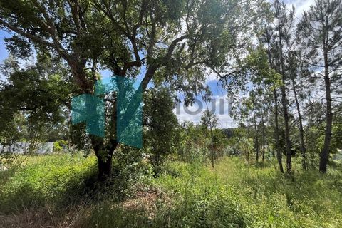 Tomt i Monte Real, Leiria, Monte Real - € 50 000 | Ref: IMO_95 - foto 9