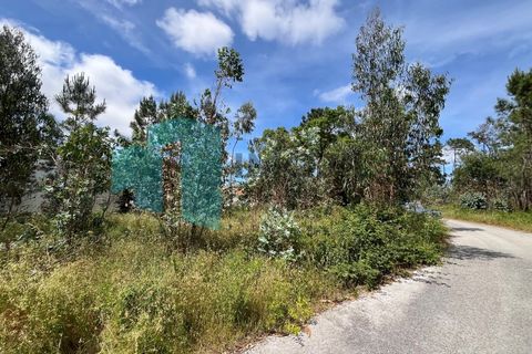 Tomt i Monte Real, Leiria, Monte Real - € 50 000 | Ref: IMO_95 - foto 11