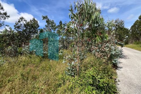 Tomt i Monte Real, Leiria, Monte Real - € 50 000 | Ref: IMO_95 - foto 13