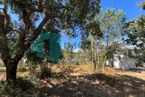 Tomt i Monte Real, Leiria, Monte Real - € 50 000 | Ref: IMO_95 - foto 14