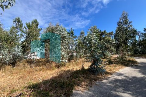 Tomt i Monte Real, Leiria, Monte Real - € 50 000 | Ref: IMO_95 - foto 15