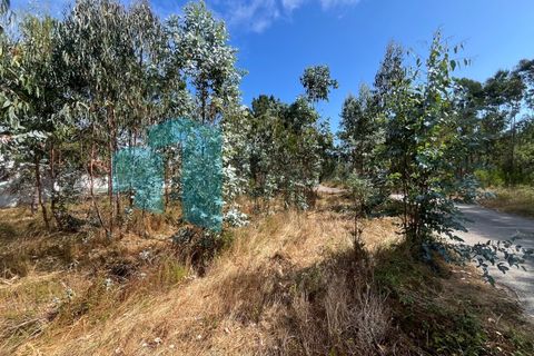 Tomt i Monte Real, Leiria, Monte Real - € 50 000 | Ref: IMO_95 - foto 16
