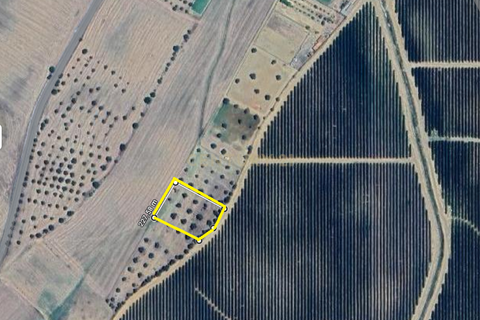 Helårsgrund i Aljustrel, Beja, Aljustrel - € 10.000 | Ref: C0486-00192 - foto 9