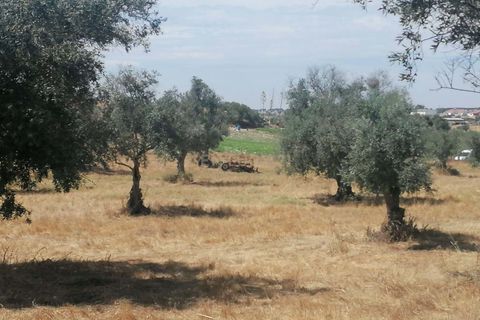 Helårsgrund i Aljustrel, Beja, Aljustrel - € 10.000 | Ref: C0486-00192 - foto 5