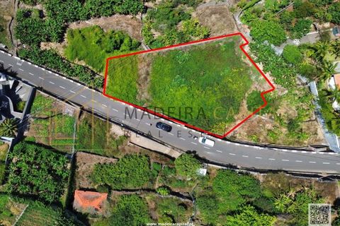 Helårsgrund i Ribeira Brava, Madeira, Ribeira Brava - € 275.000 | Ref: MC_72 - foto 3